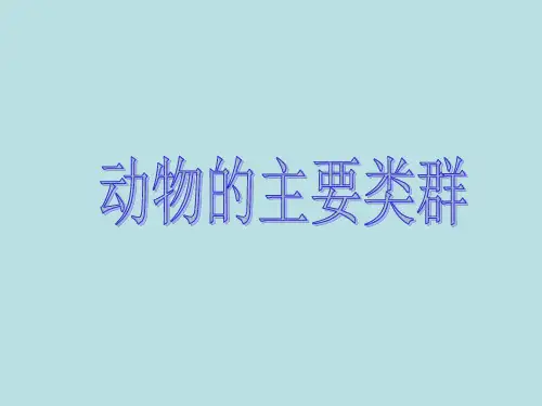 初中八年级生物上册-《动物的主要类群》课件-04