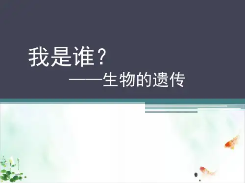 遗传与进化件ppt