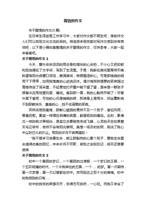 关于醒悟的作文（5篇）