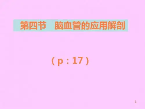 断解脑血管ppt课件