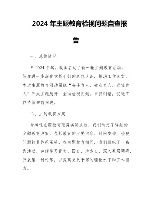 2024年主题教育检视问题自查报告