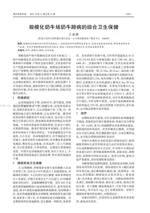 规模化奶牛场奶牛蹄病的综合卫生保健
