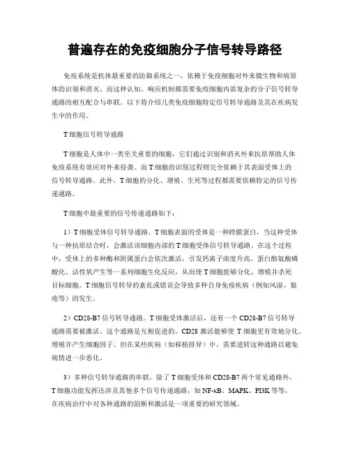 普遍存在的免疫细胞分子信号转导路径