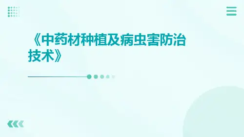 中药材种植及病虫害防治技术