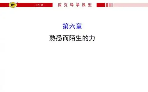 沪科版八年级物理上册教学课件期末复习课 6.ppt