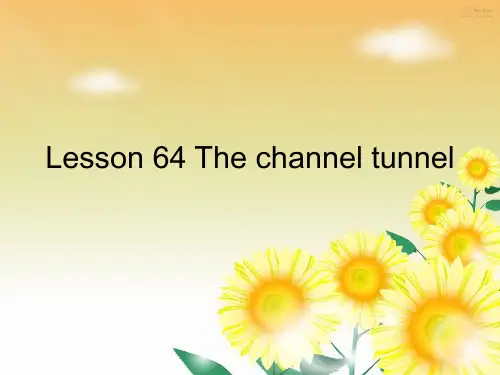 新概念第二册lesson64(共44张PPT)