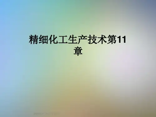 精细化工生产技术第11章