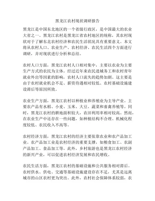 黑龙江农村现状调研报告