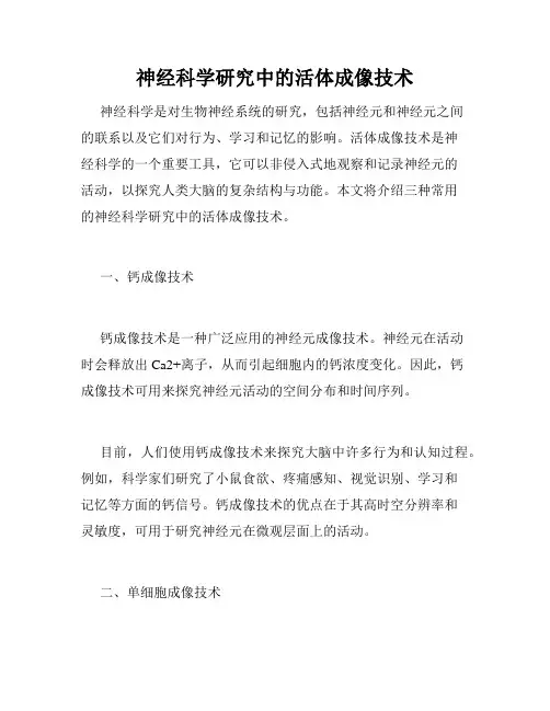 神经科学研究中的活体成像技术
