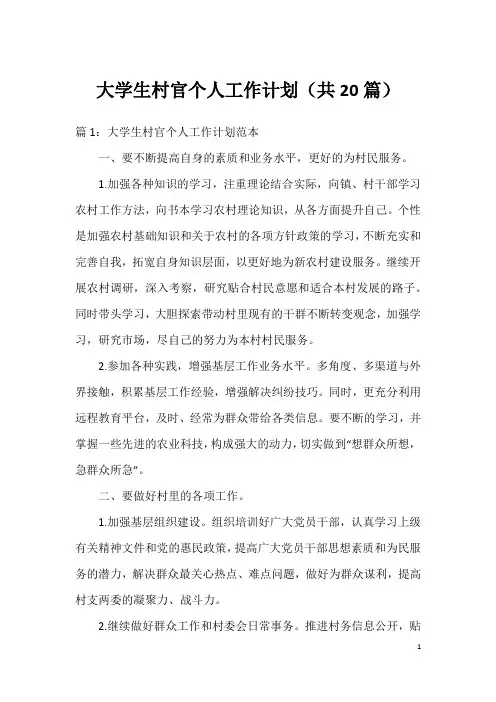 大学生村官个人工作计划(共20篇)