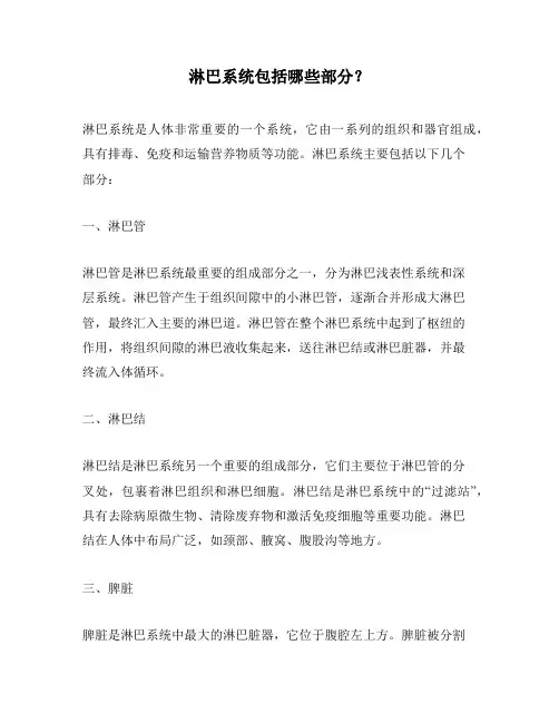 淋巴系统包括哪些部分？