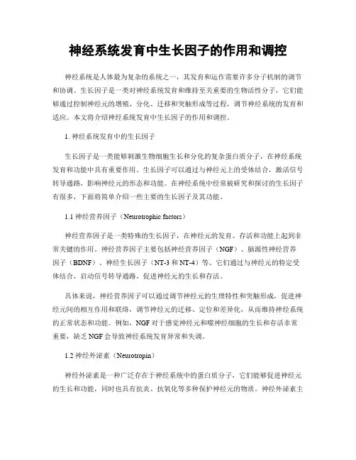 神经系统发育中生长因子的作用和调控