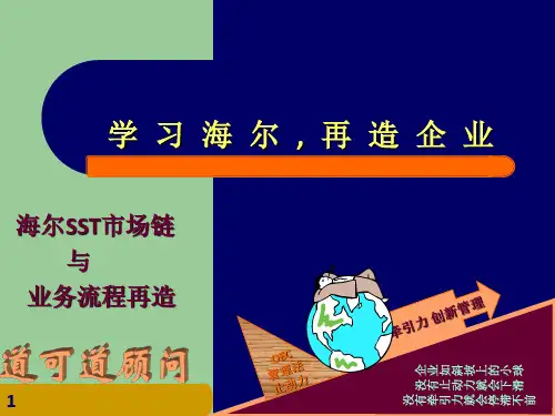 《海尔业务流程再造》PPT课件