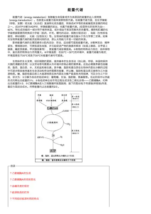 能量代谢——精选推荐