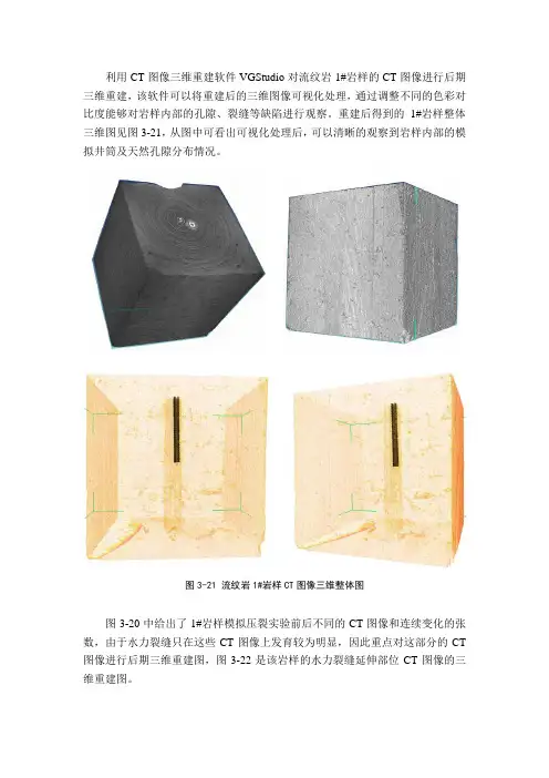 利用CT图像三维重建软件VGStudio对流纹岩1