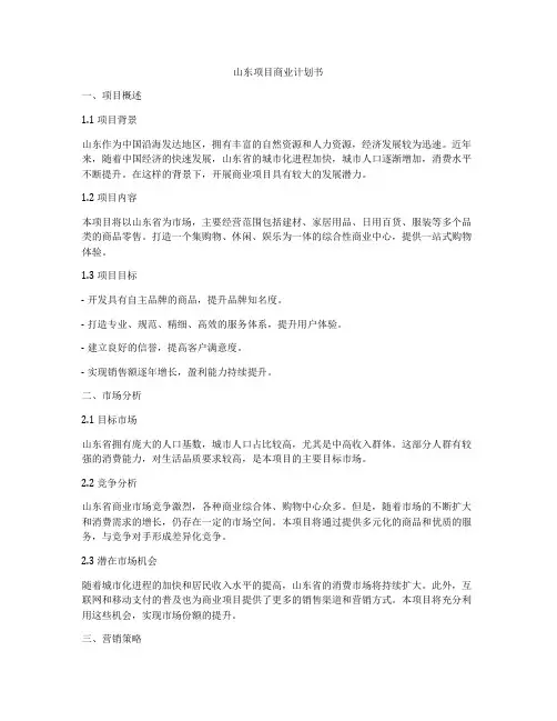 山东项目商业计划书