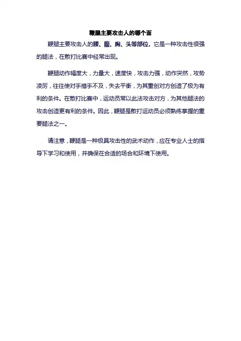 鞭腿主要攻击人的哪个面