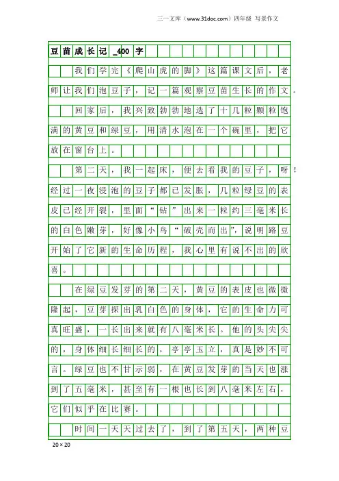 四年级写景作文：豆苗成长记_400字