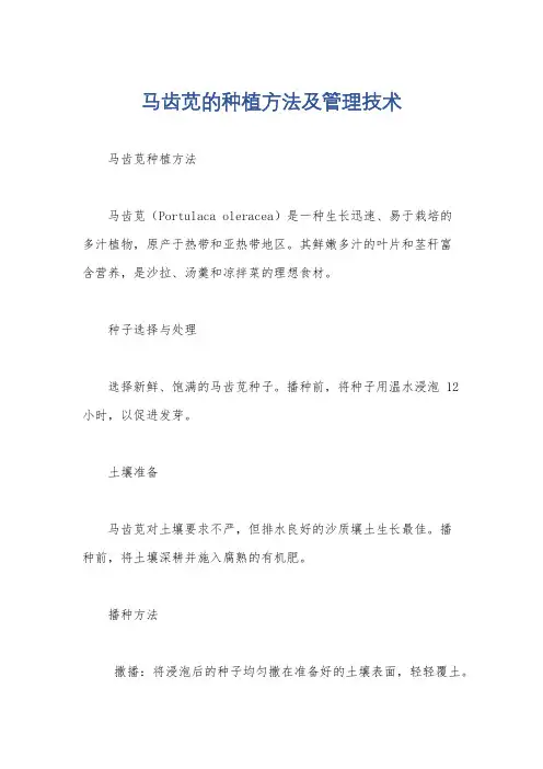 马齿苋的种植方法及管理技术