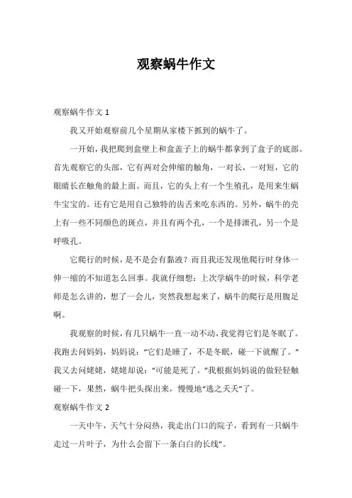 观察蜗牛作文