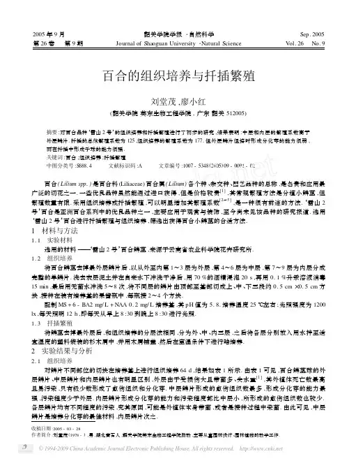 百合的组织培养与扦插繁殖