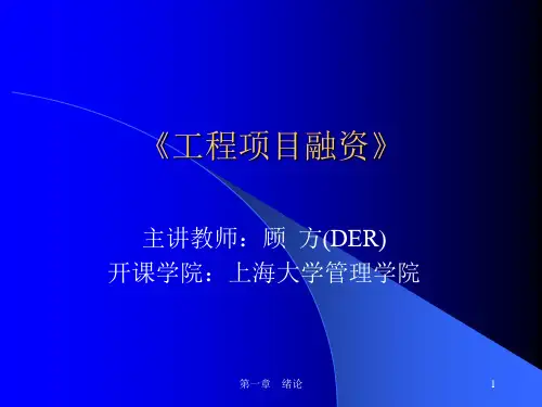 工程项目融资 第一章