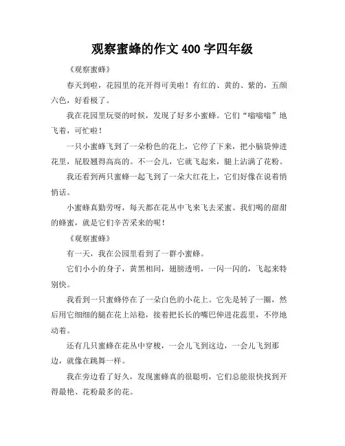 观察蜜蜂的作文400字四年级