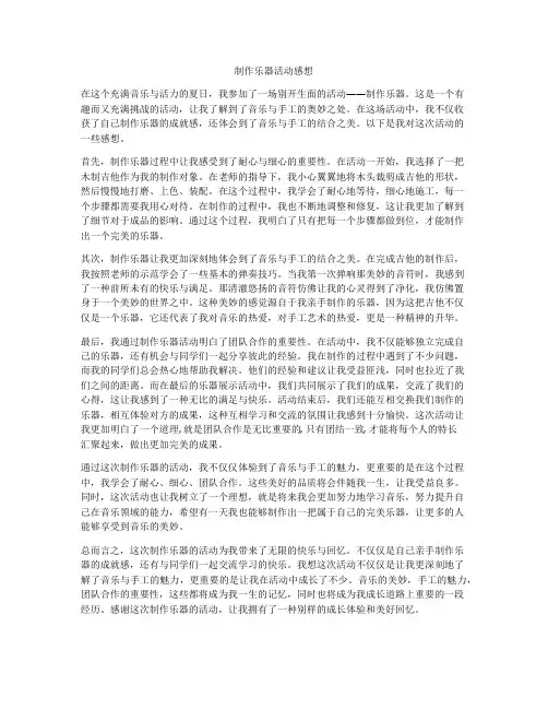 制作乐器活动感想