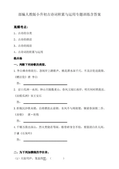 部编人教小升初古诗词积累与运用专题训练含答案