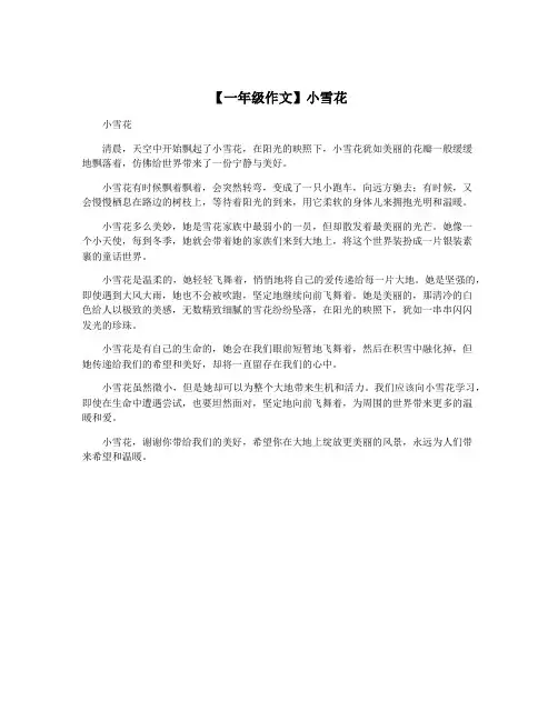 【一年级作文】小雪花