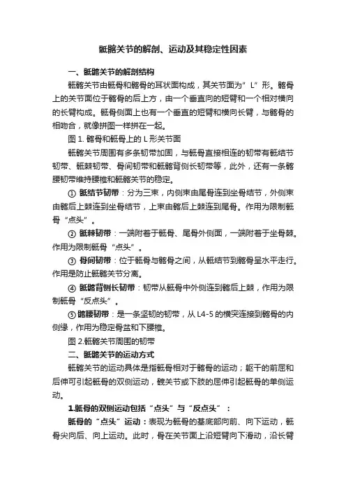 骶髂关节的解剖、运动及其稳定性因素