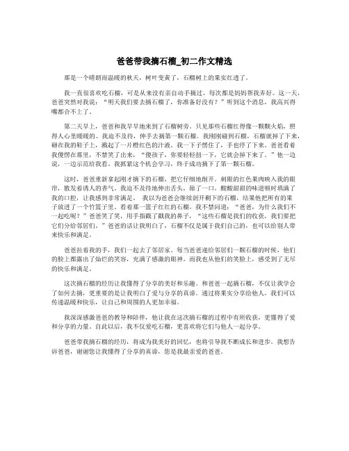 爸爸带我摘石榴_初二作文精选