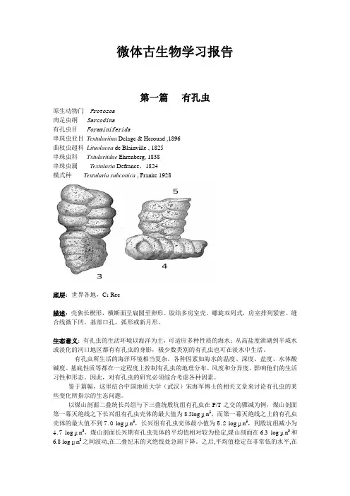 地大(武汉)微体古生物结课报告(论文)
