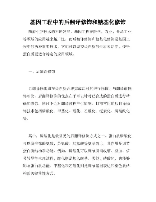 基因工程中的后翻译修饰和糖基化修饰