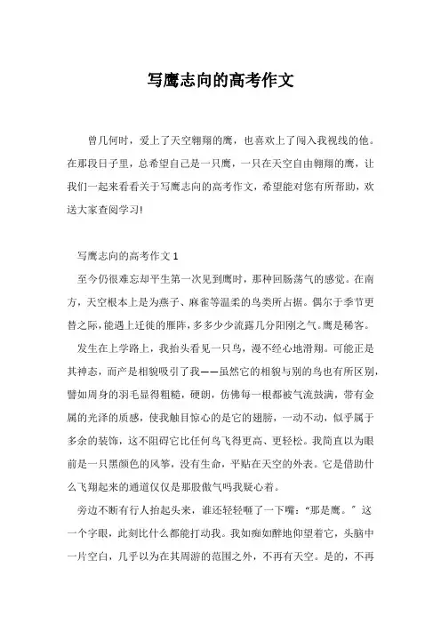 (高考)写鹰志向的高考作文