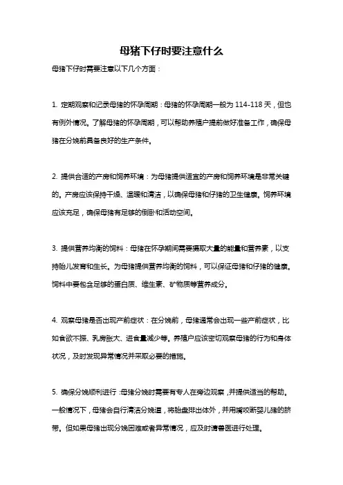 母猪下仔时要注意什么