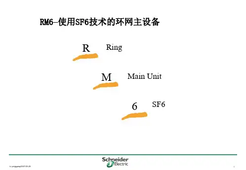 施耐德RM中压开关柜