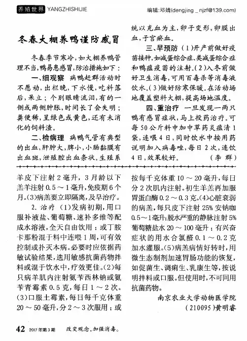 冬春大棚养鸭谨防感冒