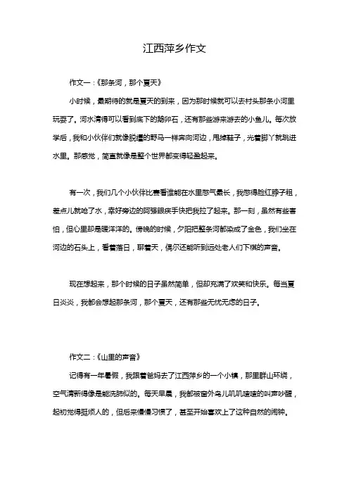江西萍乡作文