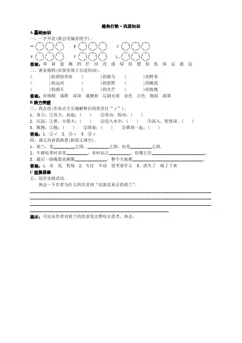 新人教版小学四年级语文下册课课练第八册巩固练习 牧场之国试题及答案(2)