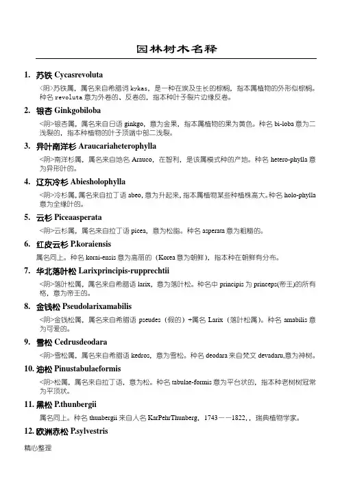 拉丁文释义