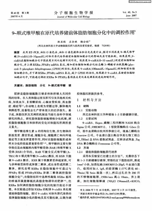 9-顺式维甲酸在原代培养猪前体脂肪细胞分化中的调控作用