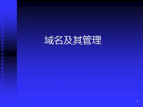 域名及其管理PPT课件