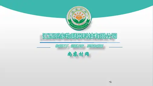 招募合伙人ppt课件