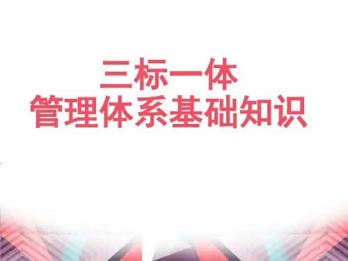 三标一体管理体系基础知识PPT课件