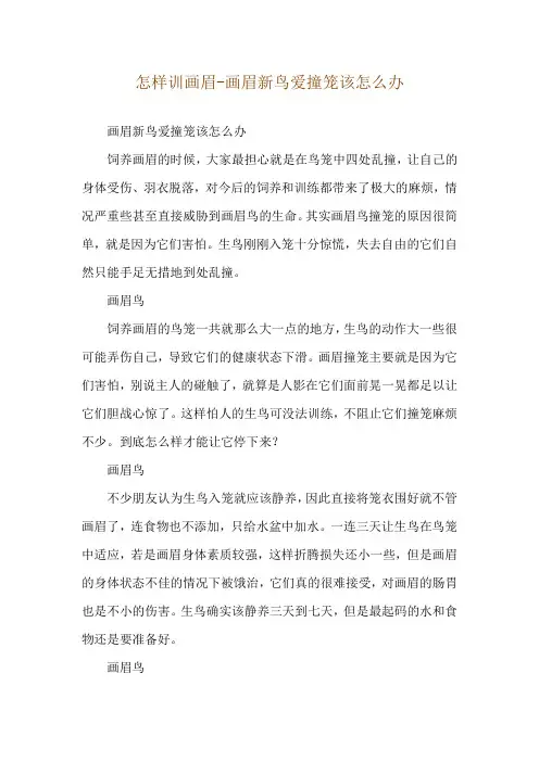 怎样训画眉-画眉新鸟爱撞笼该怎么办