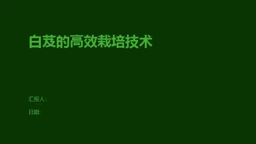 白芨的高效栽培技术