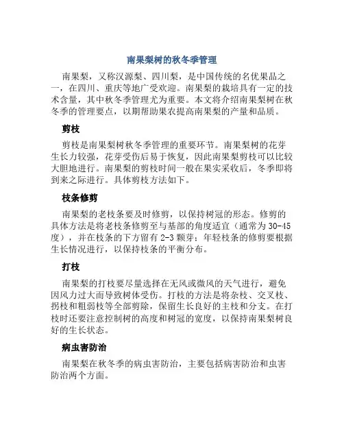 南果梨树的秋冬季管理