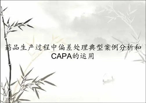 药品生产过程中偏差处理典型案例分析和CAPA的运用