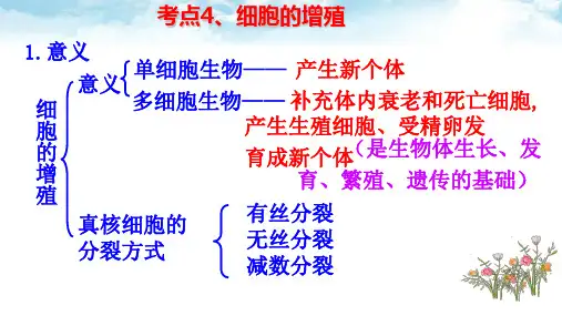 考点4细胞的增殖-人教版高考生物会考纲要考点课件
